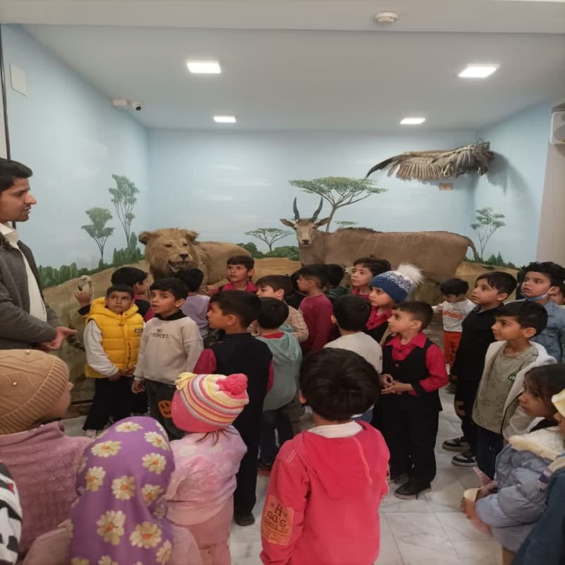 برنامه های ار دویی علمی